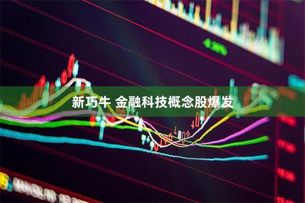 新巧牛 金融科技概念股爆发
