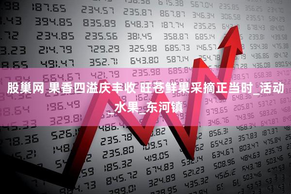 股巢网 果香四溢庆丰收 旺苍鲜果采摘正当时_活动_水果_东河镇