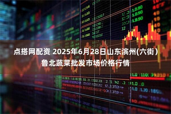 点搭网配资 2025年6月28日山东滨州(六街）鲁北蔬菜批发市场价格行情