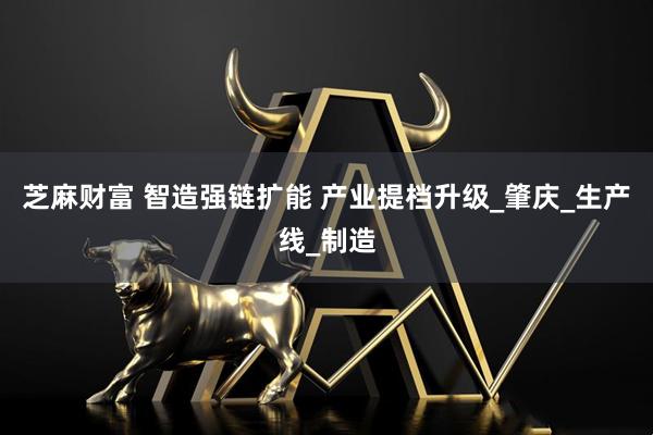 芝麻财富 智造强链扩能 产业提档升级_肇庆_生产线_制造