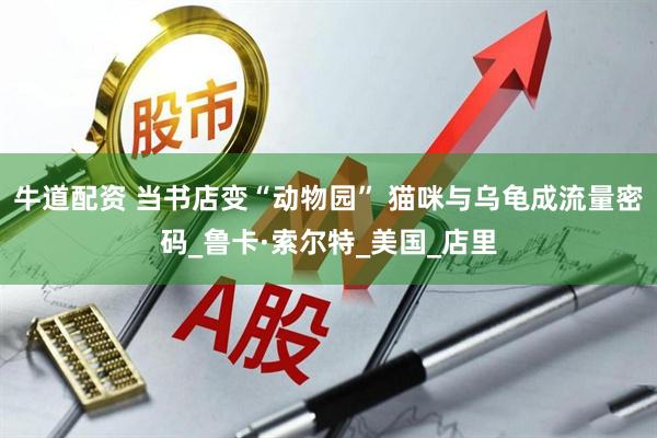 牛道配资 当书店变“动物园” 猫咪与乌龟成流量密码_鲁卡·索尔特_美国_店里