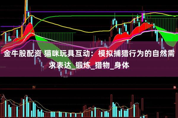 金牛股配资 猫咪玩具互动：模拟捕猎行为的自然需求表达_锻炼_猎物_身体
