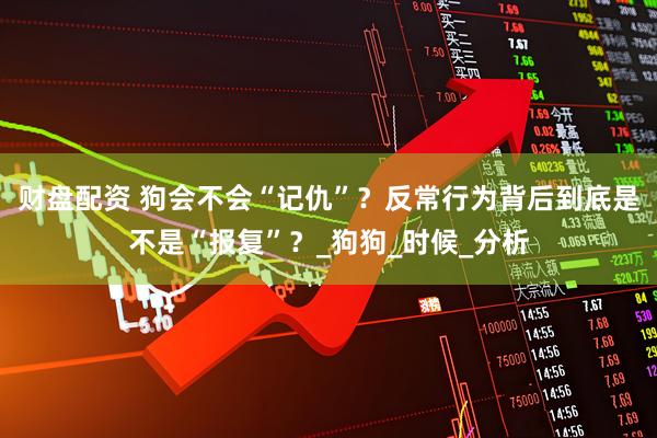 财盘配资 狗会不会“记仇”？反常行为背后到底是不是“报复”？_狗狗_时候_分析
