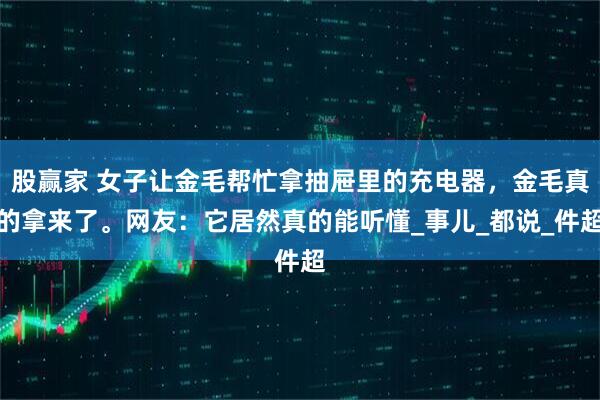 股赢家 女子让金毛帮忙拿抽屉里的充电器，金毛真的拿来了。网友：它居然真的能听懂_事儿_都说_件超