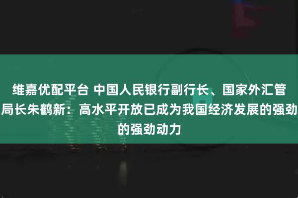 维嘉优配平台 中国人民银行副行长、国家外汇管理局局长朱鹤新：高水平开放已成为我国经济发展的强劲动力