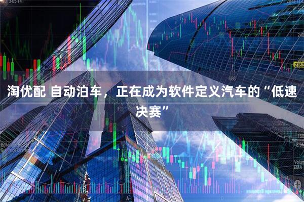 淘优配 自动泊车,正在成为软件定义汽车的“低速决赛”